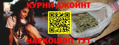 прущие грибы Ставрополь