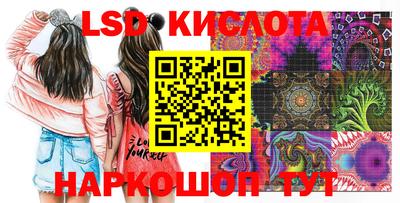 прущие грибы Ставрополь