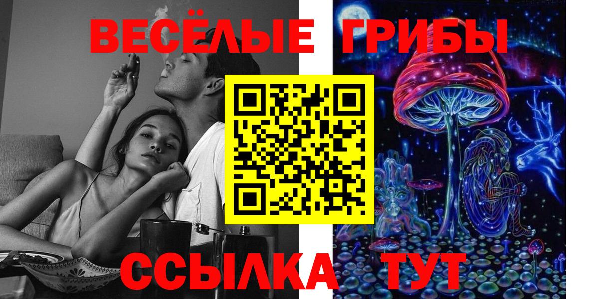 Псилоцибиновые грибы MAGIC MUSHROOMS Новодвинск