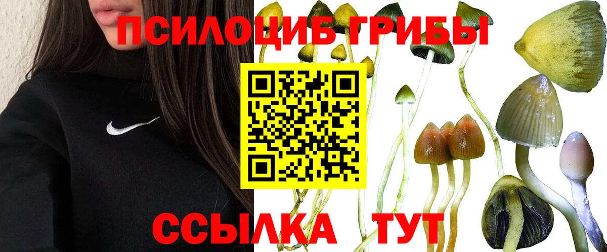 Галлюциногенные грибы ЛСД  Псилоцибиновые грибы прущие грибы  Вход с VPN  Новодвинск 